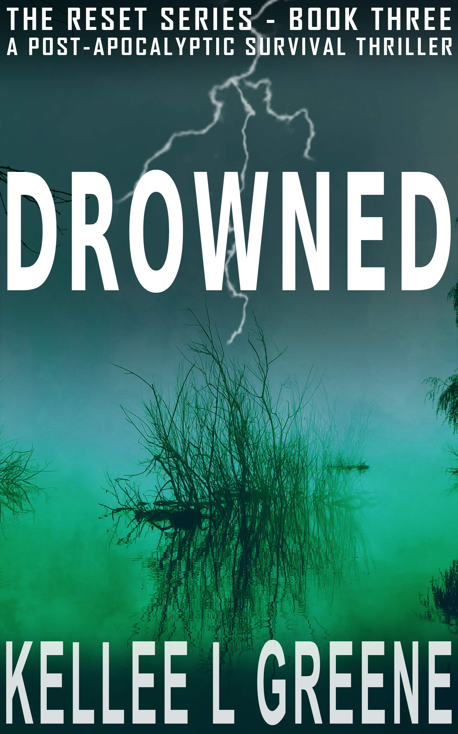 Drowned (The Reset #3)