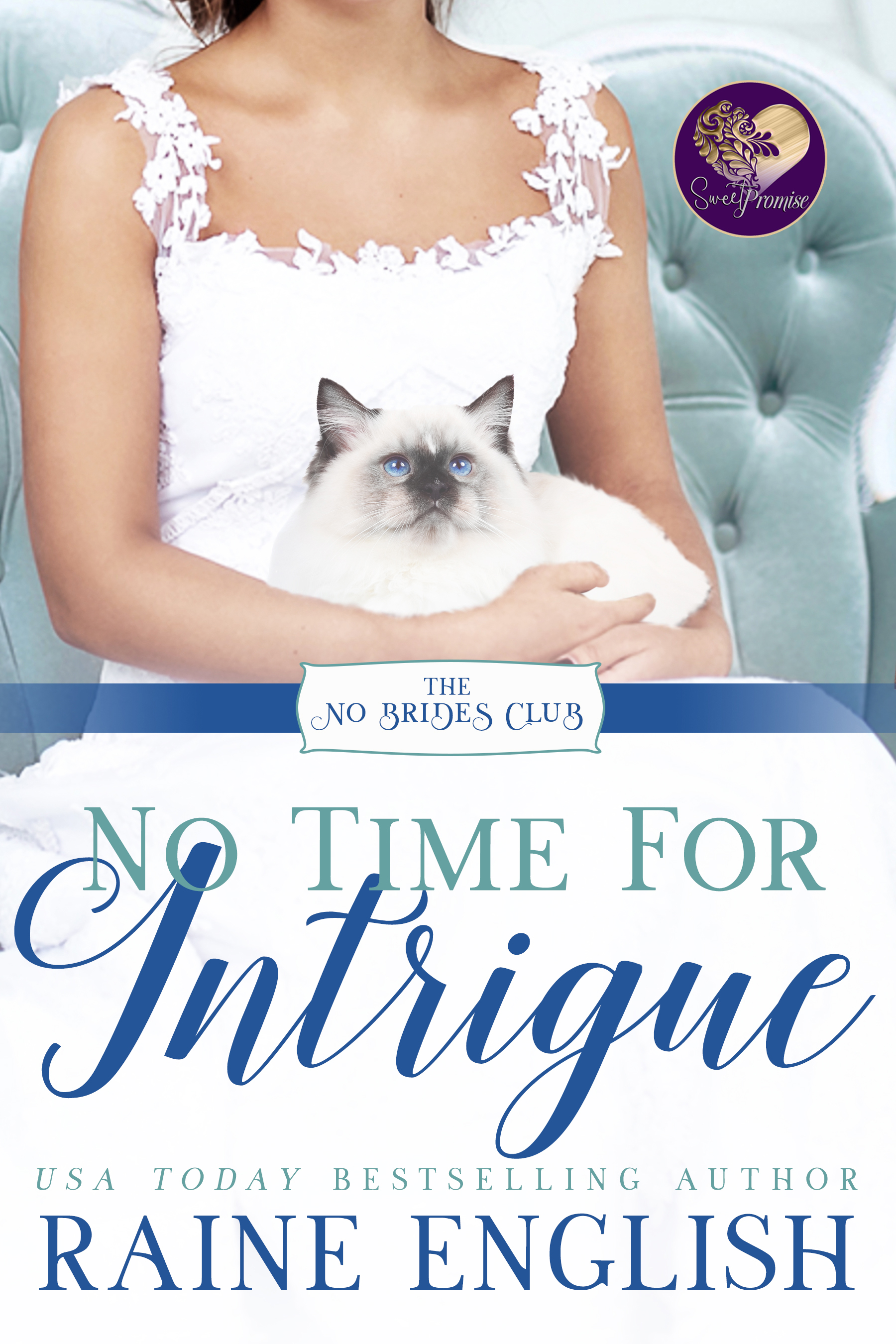 No Time for Intrigue (No Brides Club #13)