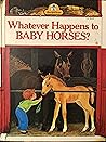 Whatever Happens to Baby Horses?