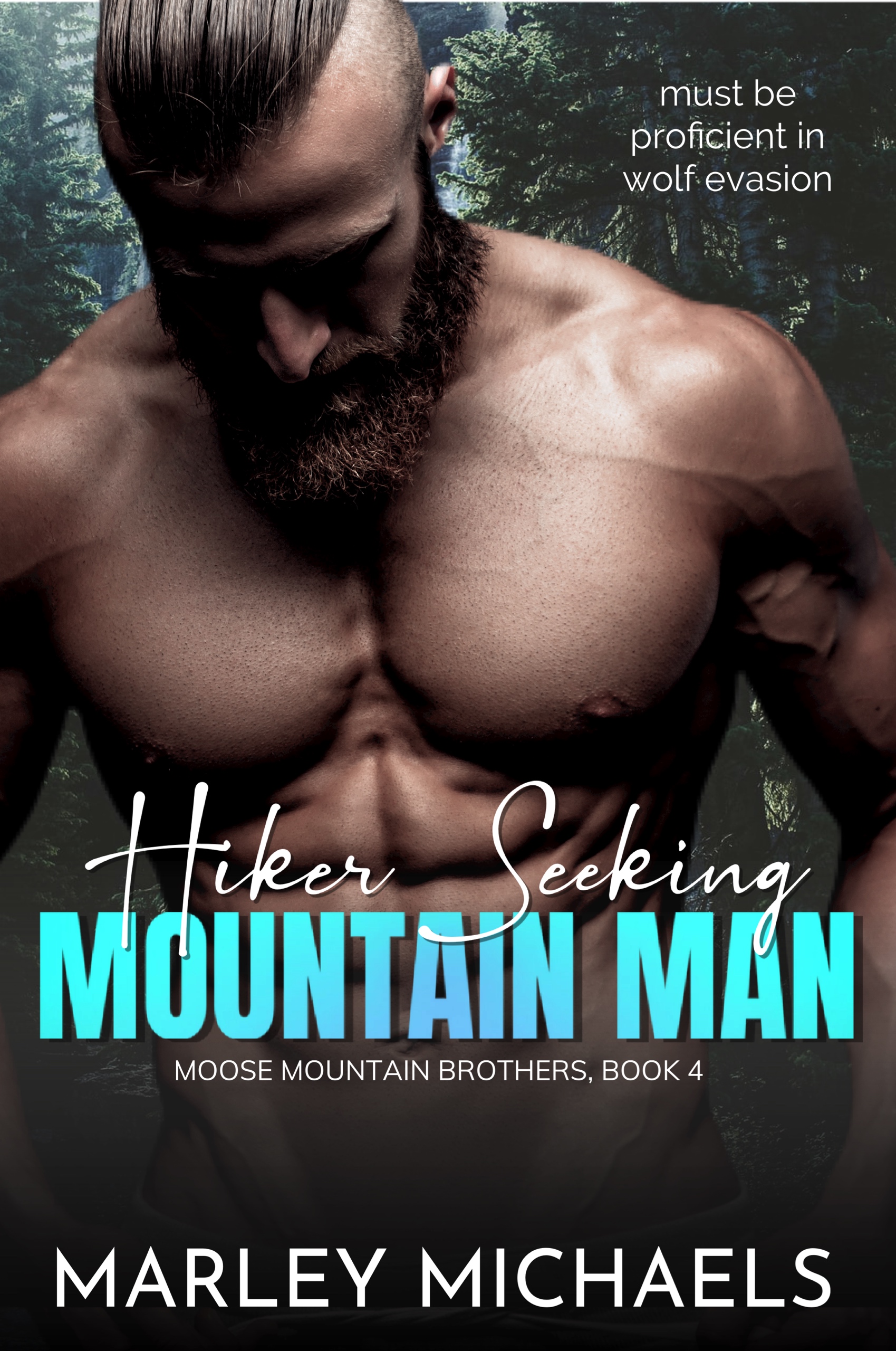 Hiker Seeking Mountain Man (Moose Mountain Brothers, #4)