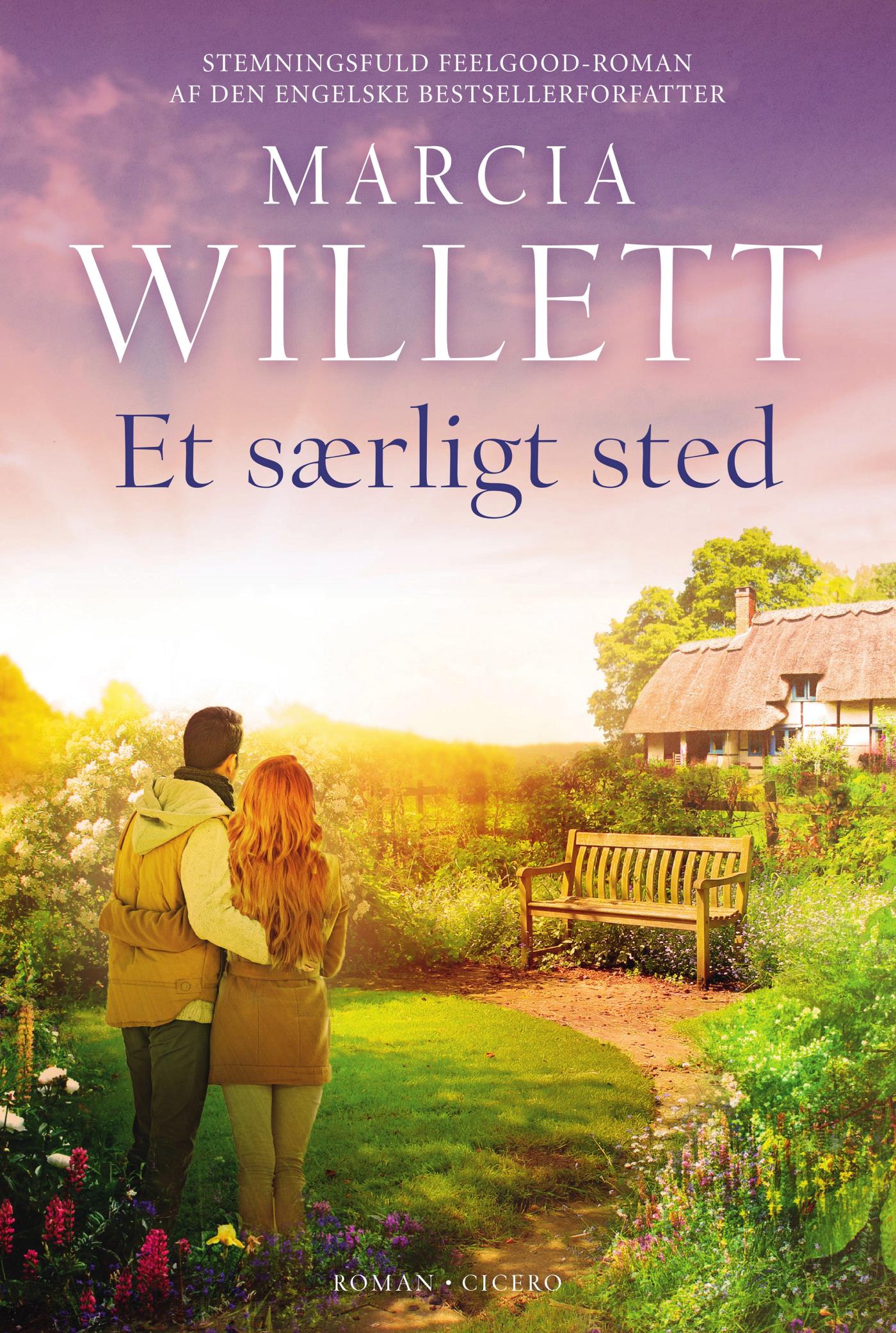 Et særligt sted (ebook)
