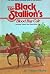 The Black Stallion's Blood Bay Colt (The Black Stallion, #6)