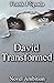 David Transformed: Novel Ambition