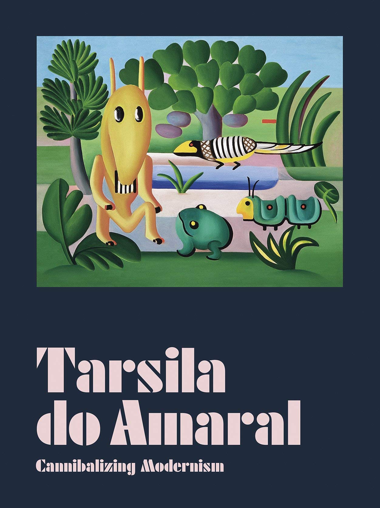 Tarsila do Amaral: Cannibalizing Modernism (Hardcover)
