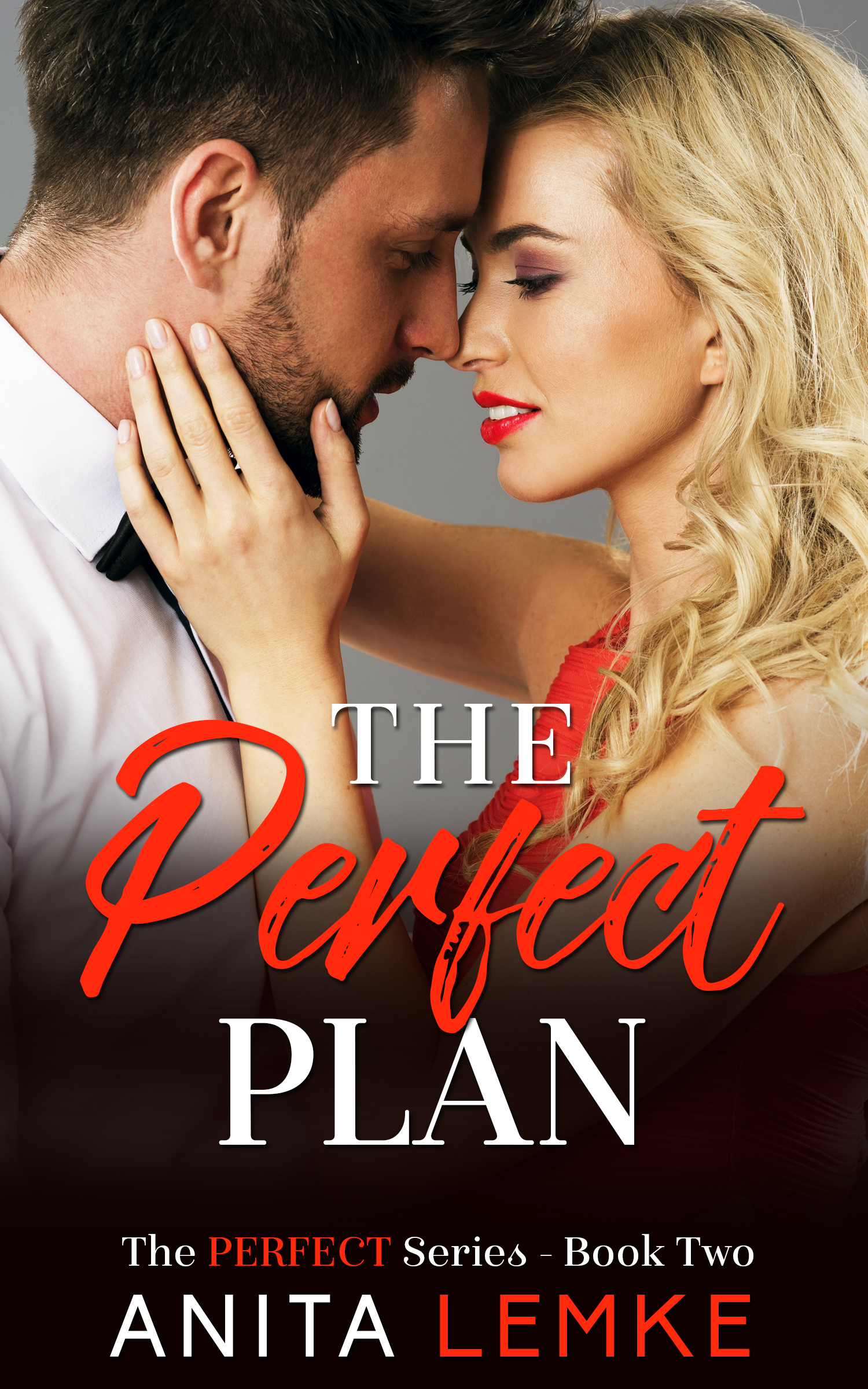 The Perfect Plan (The Perfect Series #2)