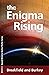 The Enigma Rising (Enigma #2)