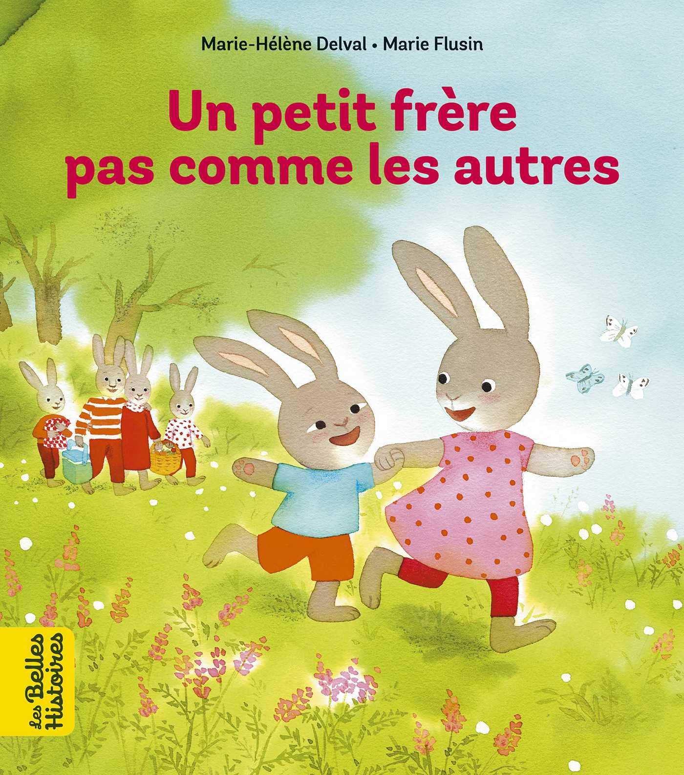 Un petit frère pas comme les autres (Paperback)