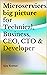 Microservices big picture f...