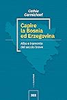 Capire la Bosnia ed Erzegovina: alba e tramonto del secolo breve (Italian Edition)