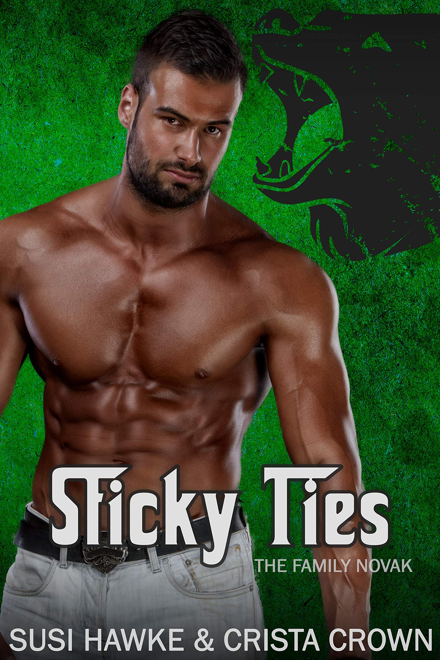 Sticky Ties (The Family Novak, #4)