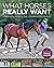 What Horses Really Want: Unlocking the Secrets to Trust, Cooperation and Reliability
