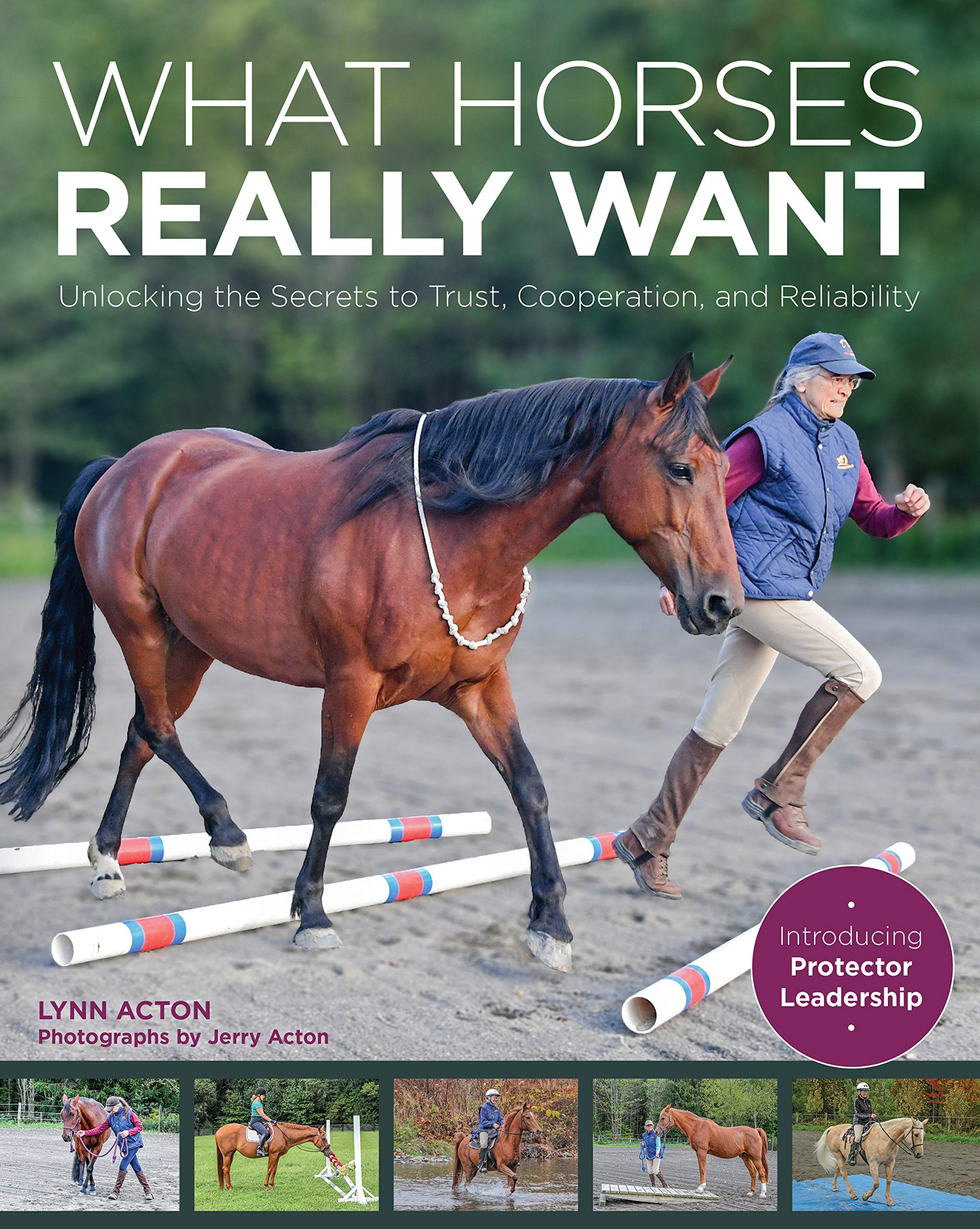 What Horses Really Want: Unlocking the Secrets to Trust, Cooperation and Reliability (Kindle Edition)