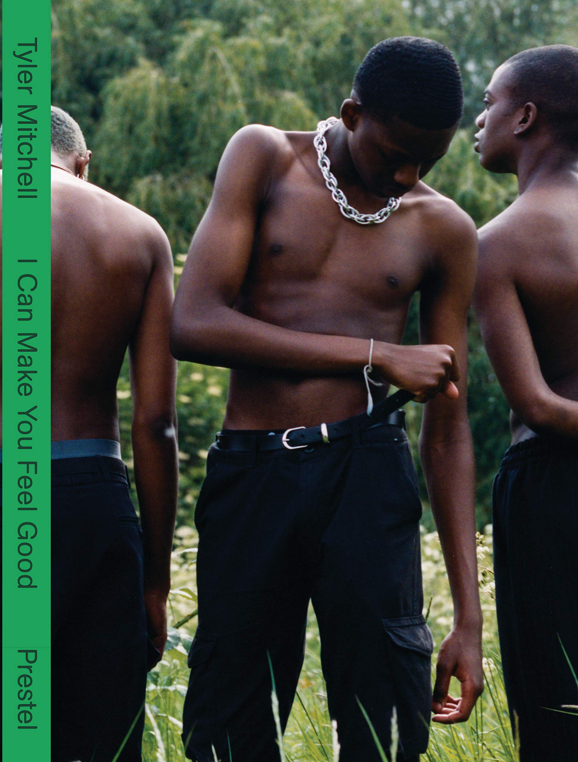 I Can Make You Feel Good (Hardcover)