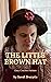 The Little Brown Hat Croche...