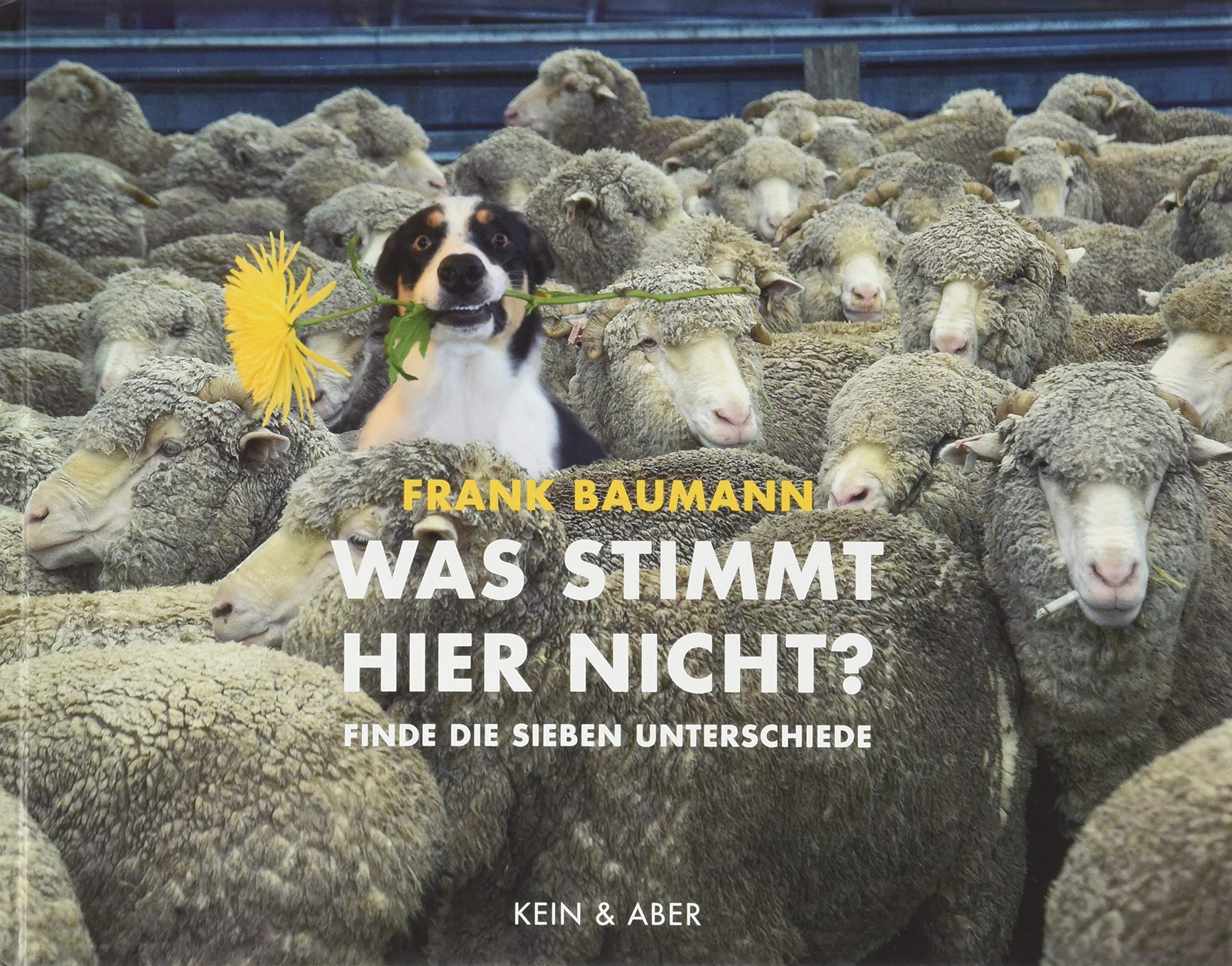 Was stimmt hier nicht?: Finde die sieben Unterschiede (Hardcover)