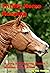 Thrifty Horse Keeping: Buyi...