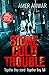 Stone Cold Trouble by Amer Anwar