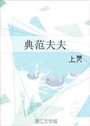 典范夫夫 (ebook)