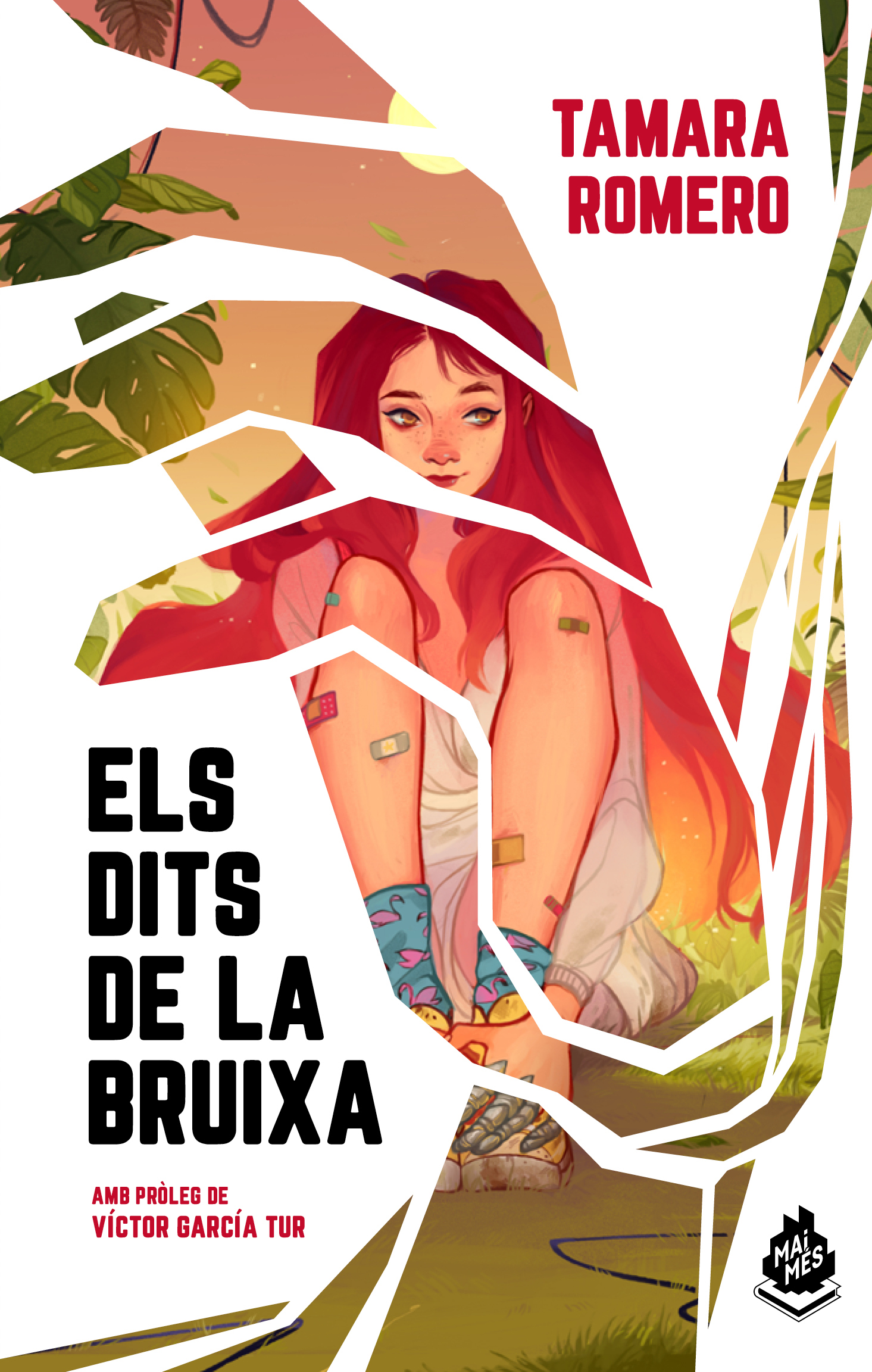 Els dits de la bruixa (Paperback)