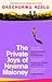 The Private Joys of Nnenna Maloney
