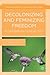 Decolonizing and Feminizing Freedom: A Caribbean Genealogy (Thinking Gender in Transnational Times)