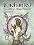Enchanted: The Art of Amy B...