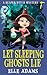 Let Sleeping Ghosts Lie (A Reaper Witch Mystery)