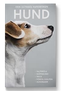 Hund : den ultimata handboken (Hardcover)
