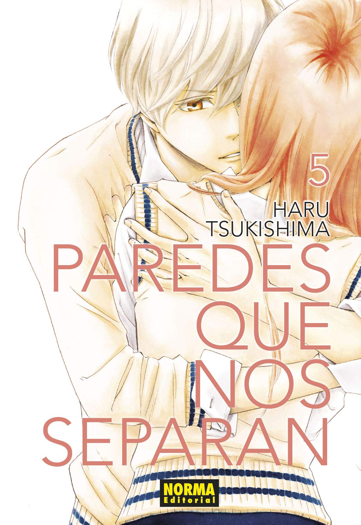Portada de Paredes que nos separan 5, de Haru Tsukishima