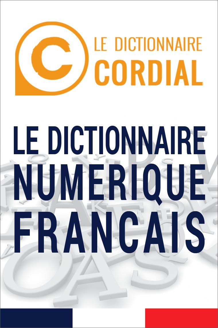 Le Dictionnaire Numérique Francais (French Edition)