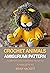 Crochet Amigurumi Animals B...