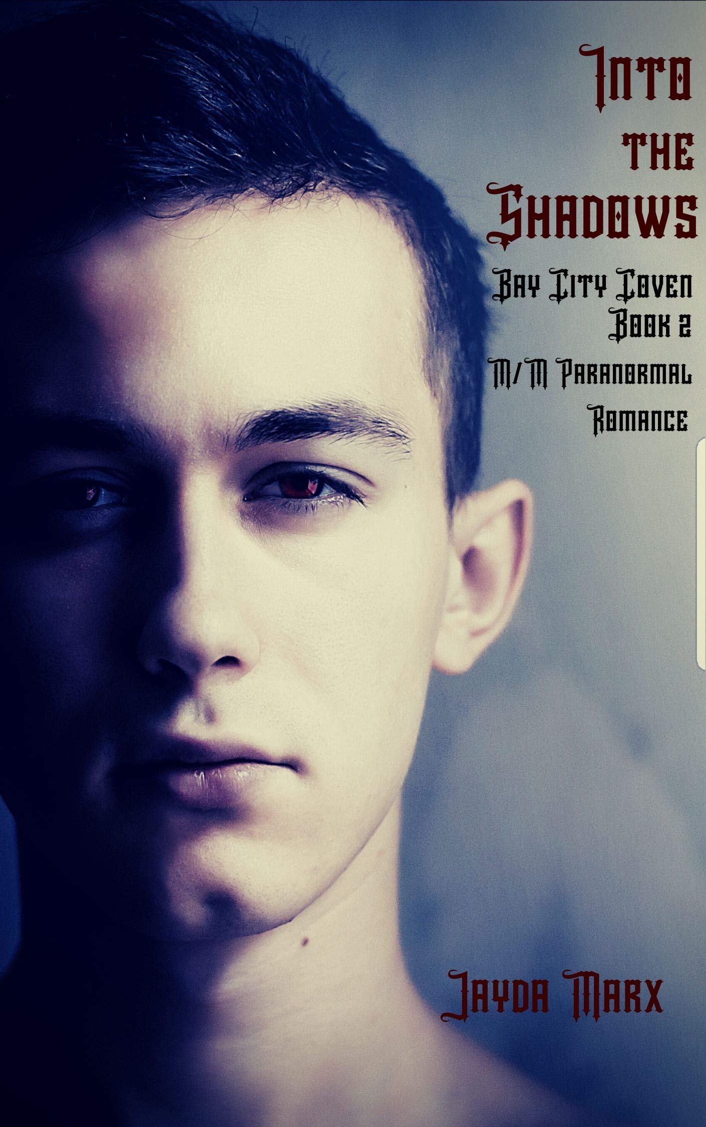 Into the Shadows (Bay City Coven #2)
