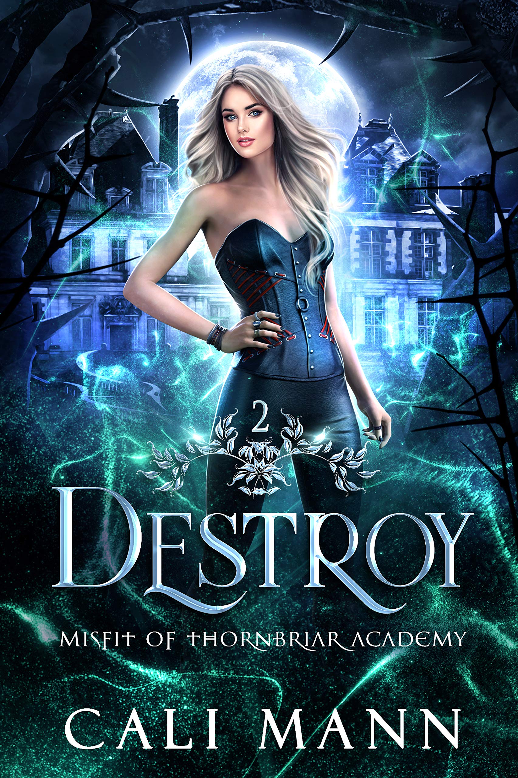 Destroy (Misfit of Thornbriar Academy, #2)