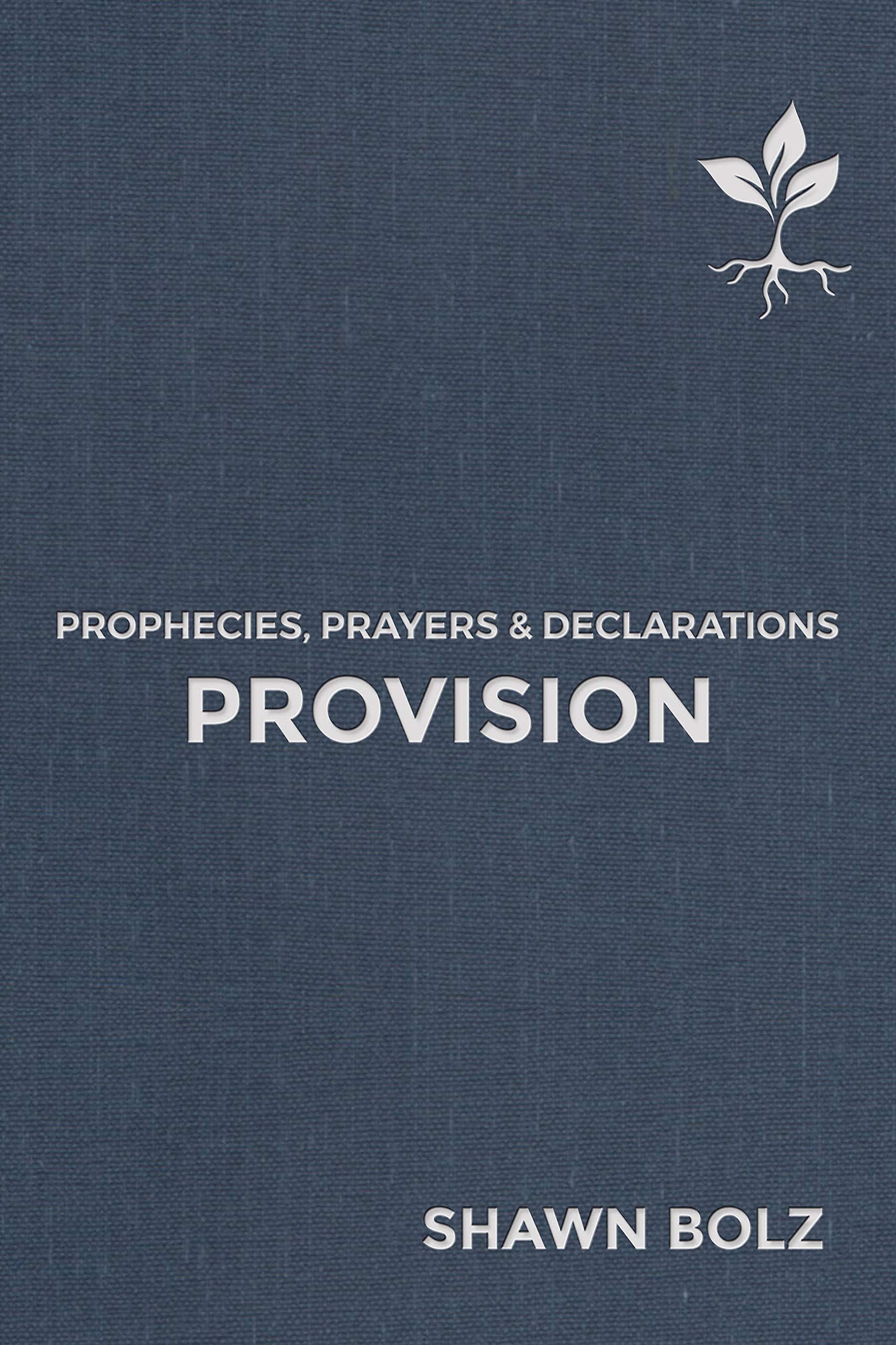 Provision (Prophecies, Prayers & Declarations #2)