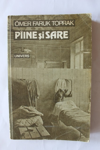 Paine si sare (Paperback)