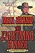 The Lightning Runner: A Western Story