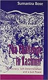 The Challenge in Kashmir: Democracy, Self-Determination and a Just Peace