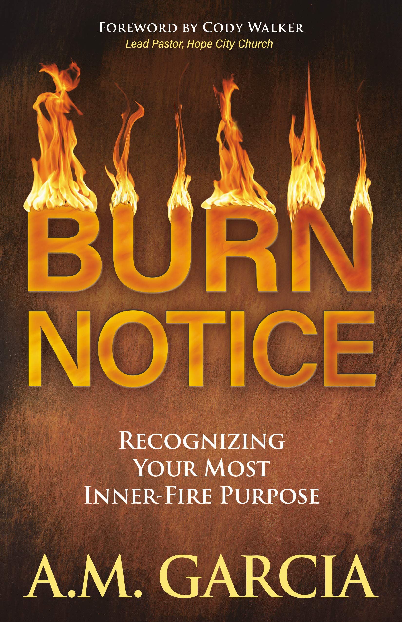 Burn Notice: Recognizing Your Most Inner-Fire Purpose (Kindle Edition)