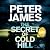 The Secret of Cold Hill (House on Cold Hill, #2)