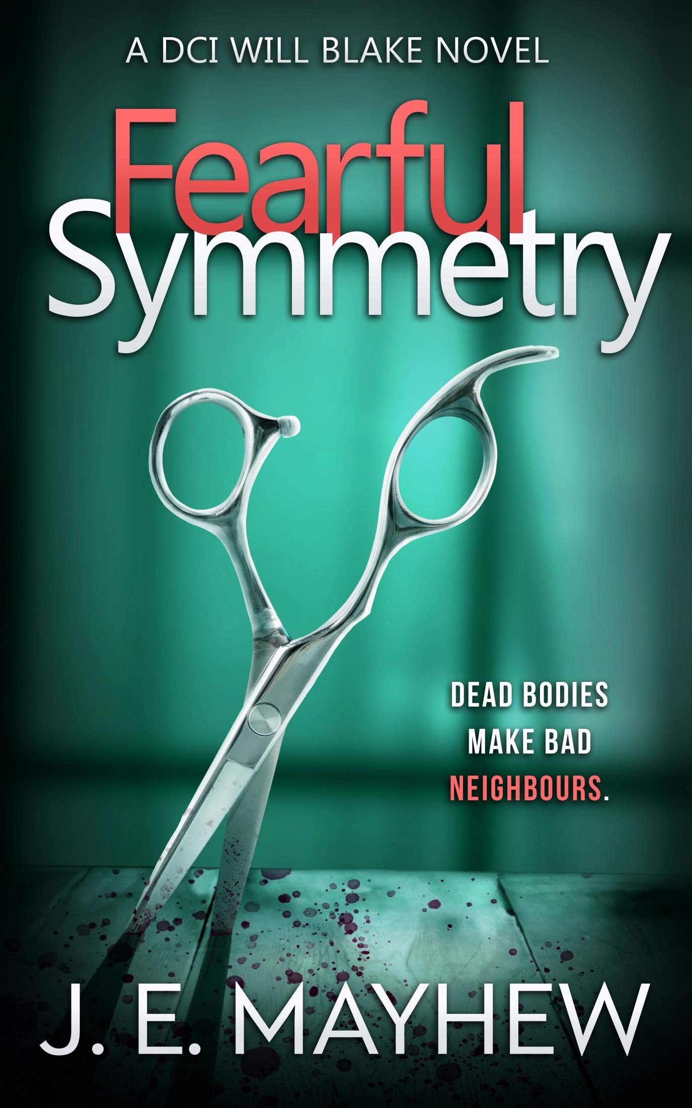 Fearful Symmetry (DCI Will Blake, #2)