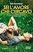 Sei l'amore che cercavo (Briar U, #3)