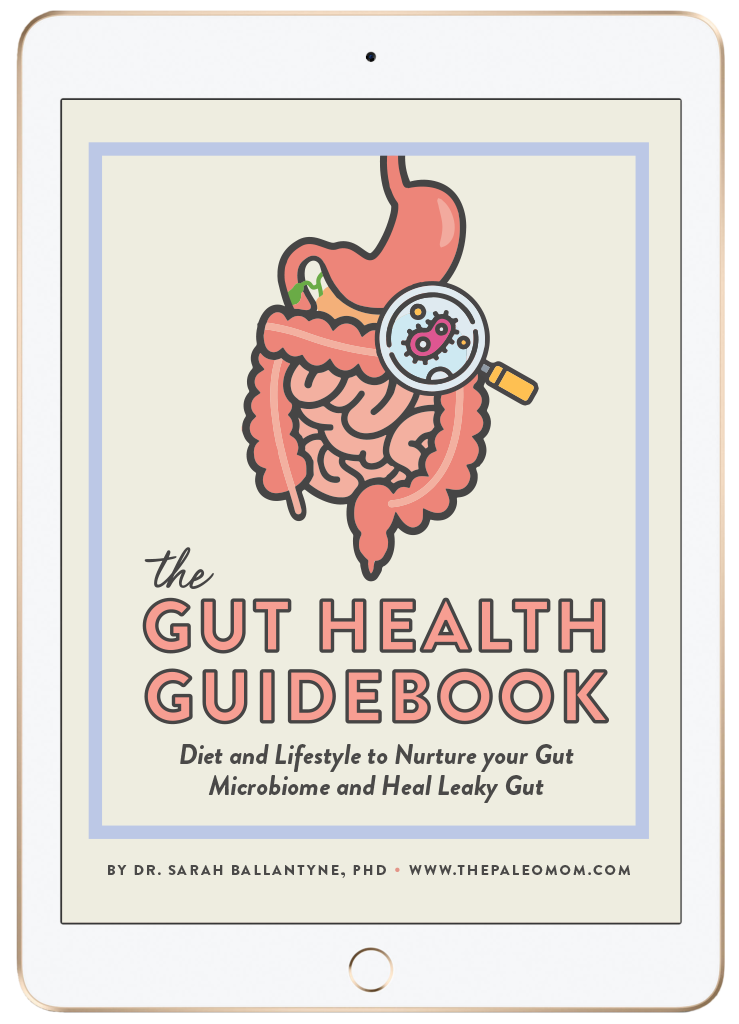 The Gut Health Guidebook