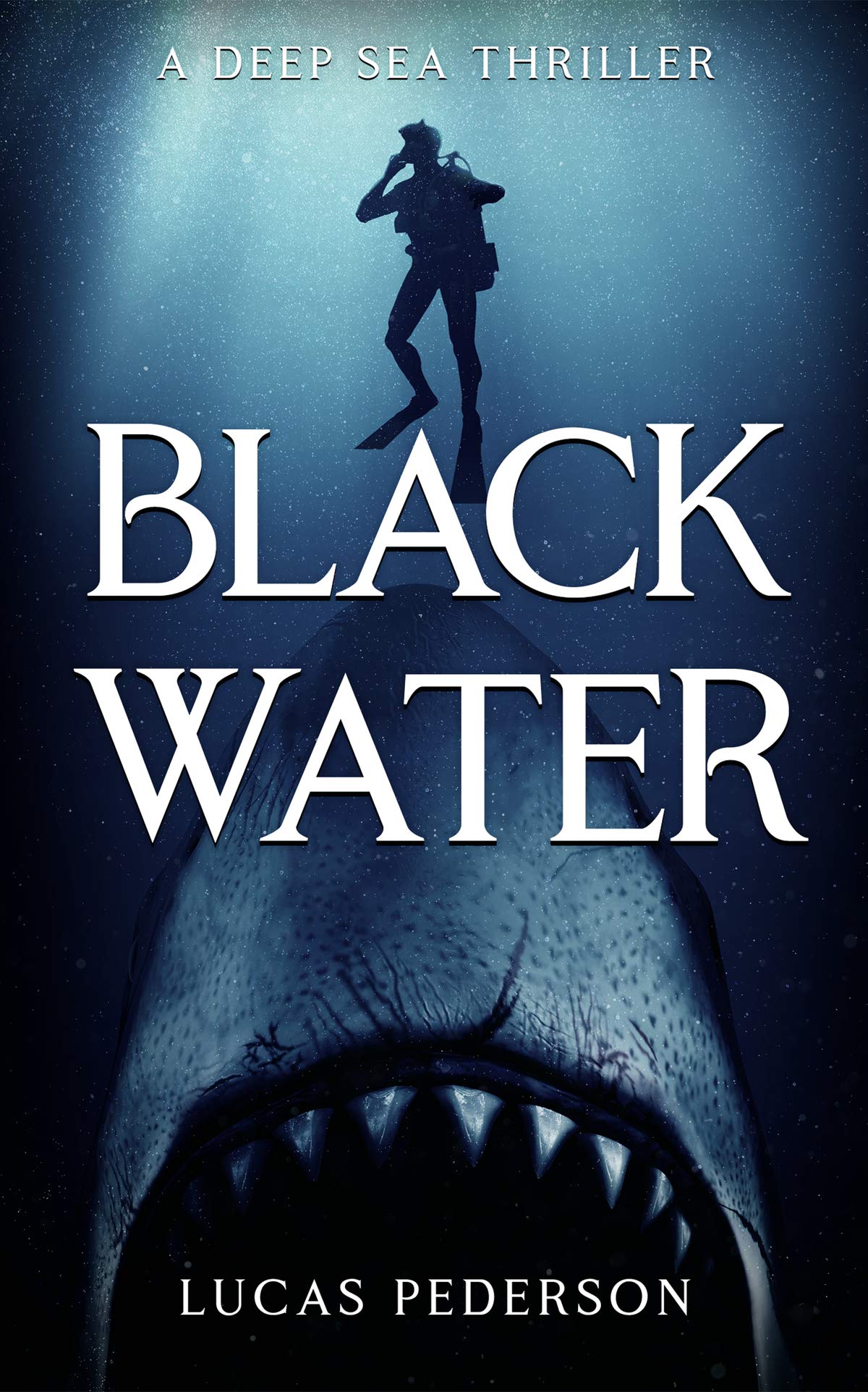 Black Water (Kindle Edition)