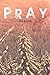 Pray