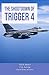 The Shootdown of Trigger 4: Report of the Project Trigger Study Team