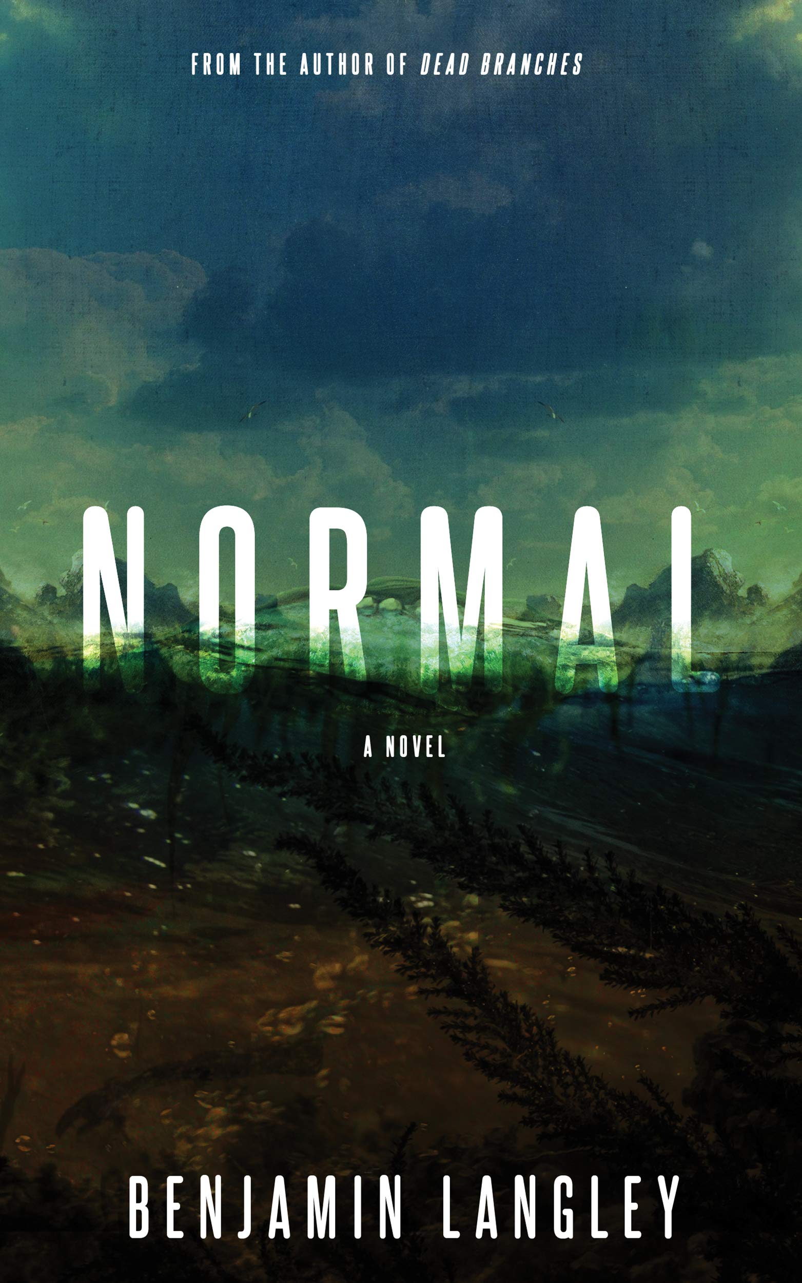 Normal (Kindle Edition)