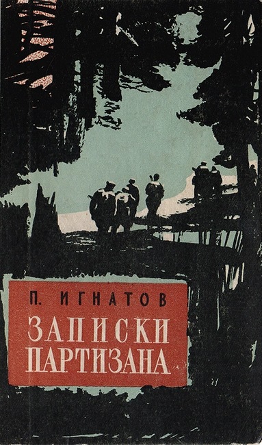 Записки партизана