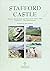 Stafford Castle: Survey, Excavation And Research 1978-1998, Volume 2 - The Excavations