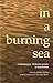 in a burning sea: Contemporary Afrikaans Poetry in Translation