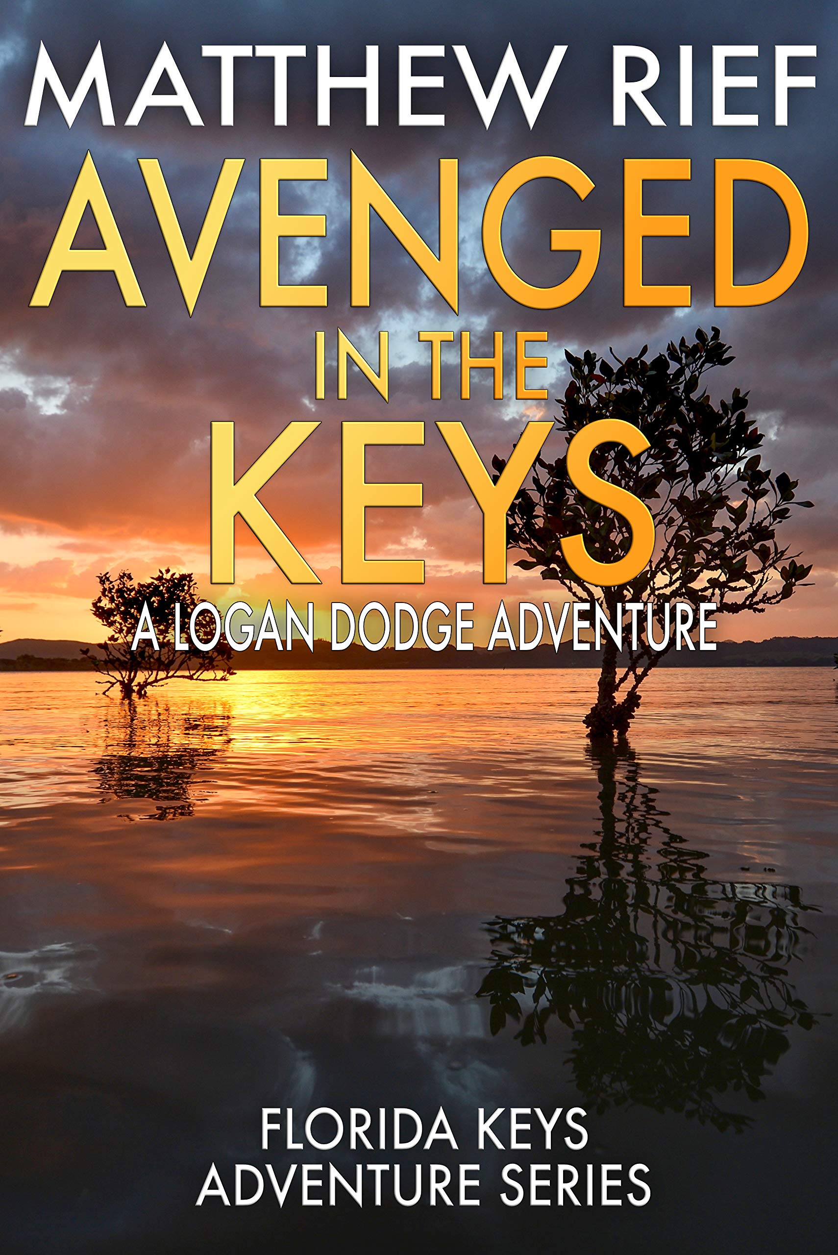 Avenged in the Keys (Florida Keys Adventure #11)